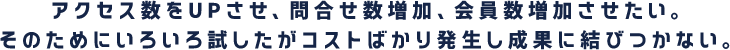 アクセス数をUPさせ、問合せ数増加、会員数増加させたい。そのためにいろいろ試したがコストばかり発生し成果に結びつかない。