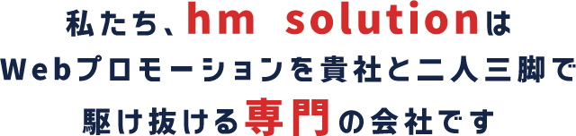 私たち、hm solutionは、Webプロモーションを貴社と二人三脚で駆け抜ける専門の会社です